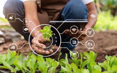 Innovación agrícola