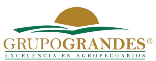 GRUPOGRANDES